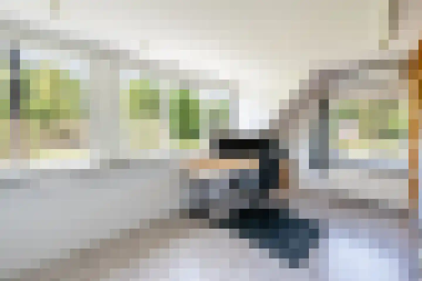 Wapenvelder Zand 13 Wapenveld thumbnail 16