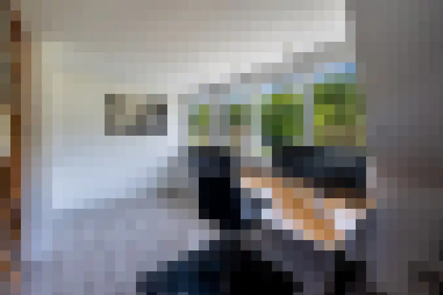 Wapenvelder Zand 13 Wapenveld thumbnail 17
