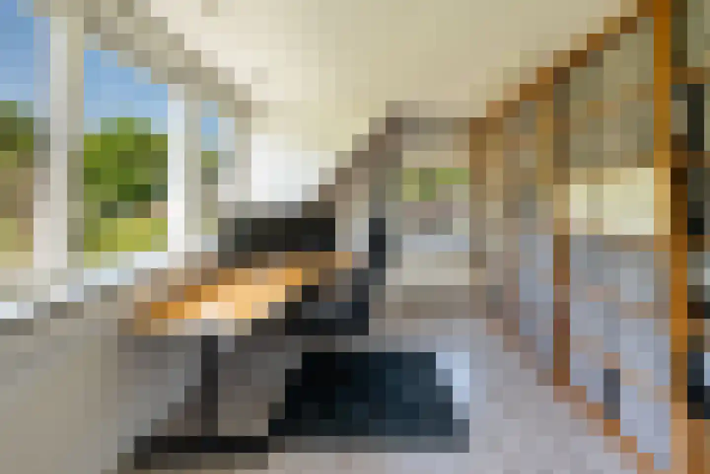 Wapenvelder Zand 13 Wapenveld thumbnail 18