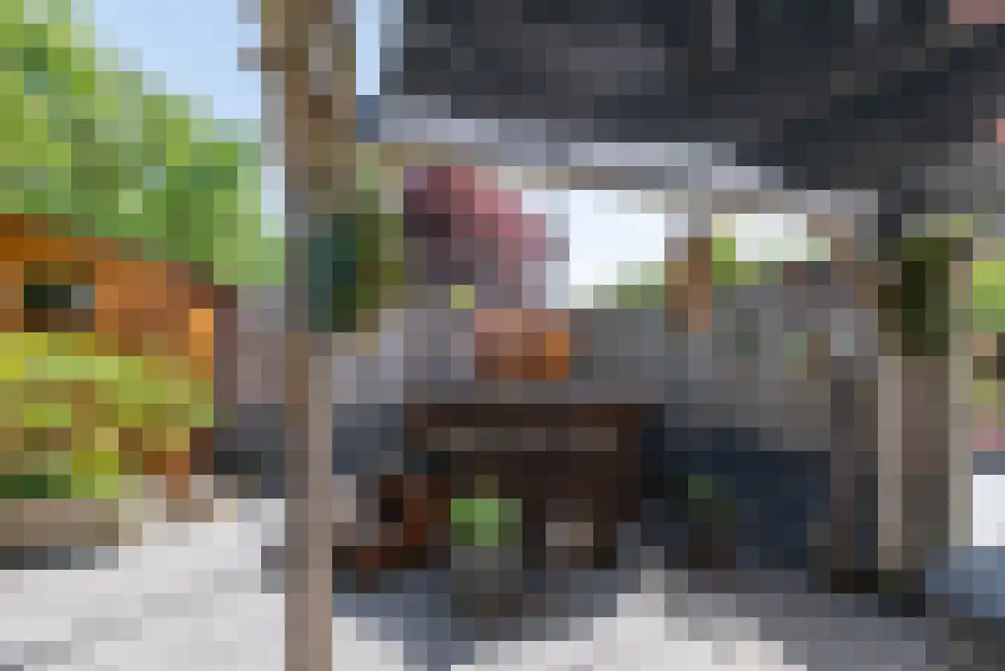 Wapenvelder Zand 13 Wapenveld thumbnail 33