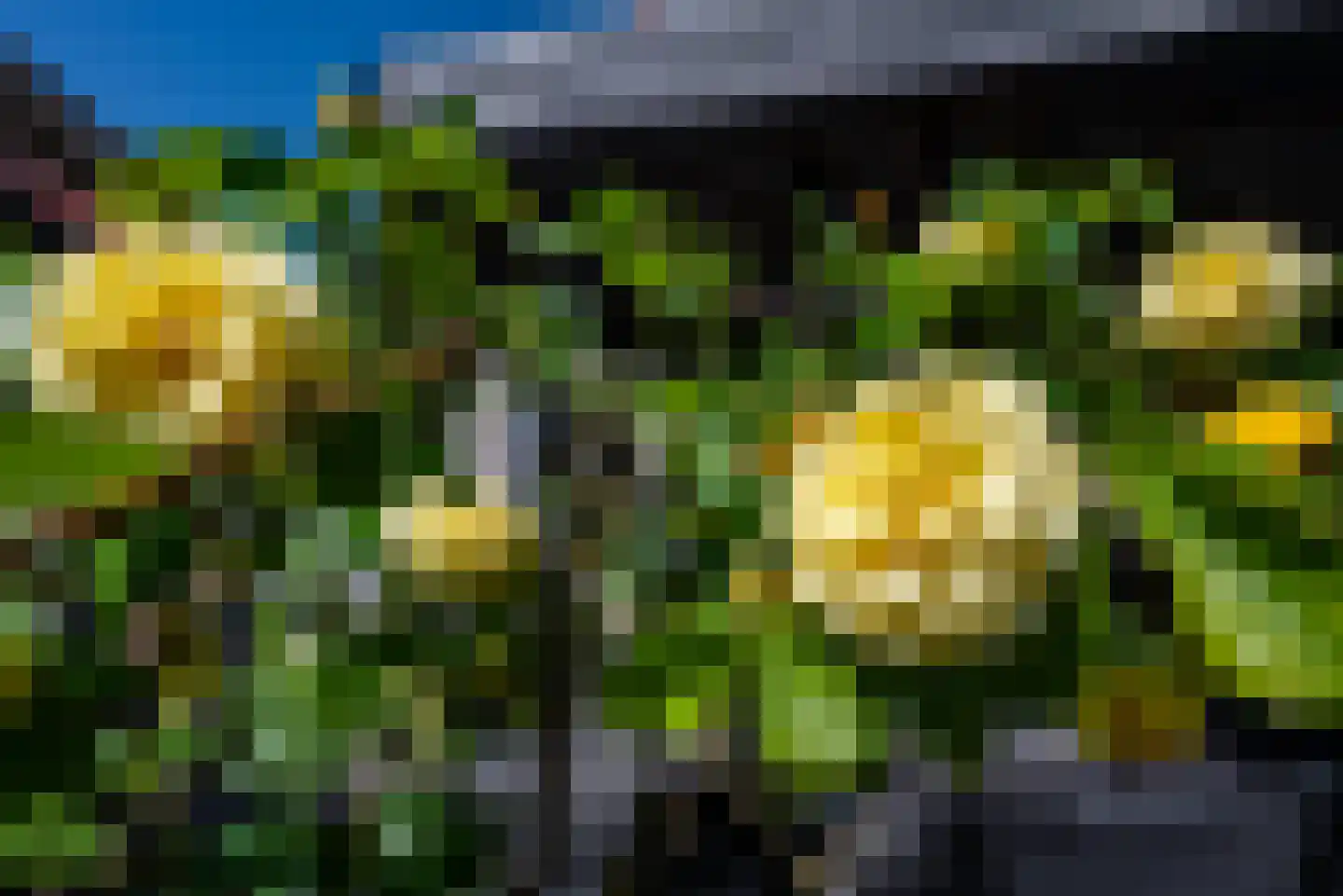 Wapenvelder Zand 13 Wapenveld thumbnail 35
