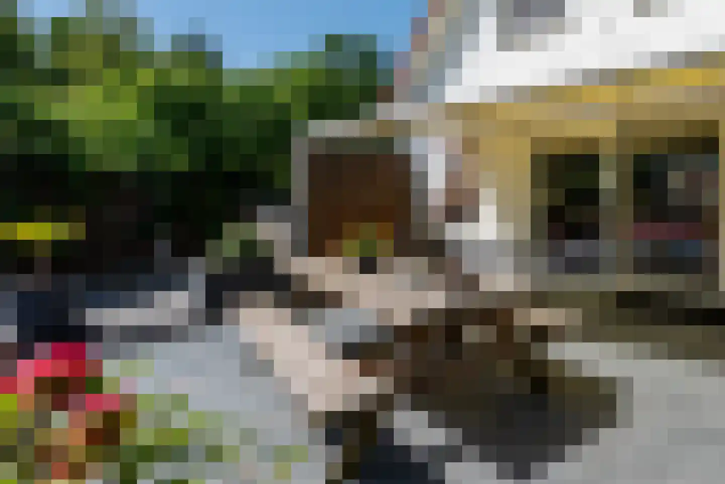 Wapenvelder Zand 13 Wapenveld thumbnail 36