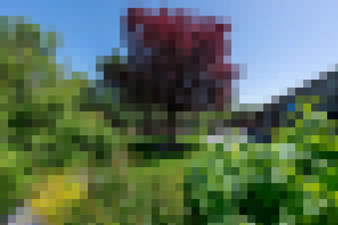 Wapenvelder Zand 13 Wapenveld thumbnail 37