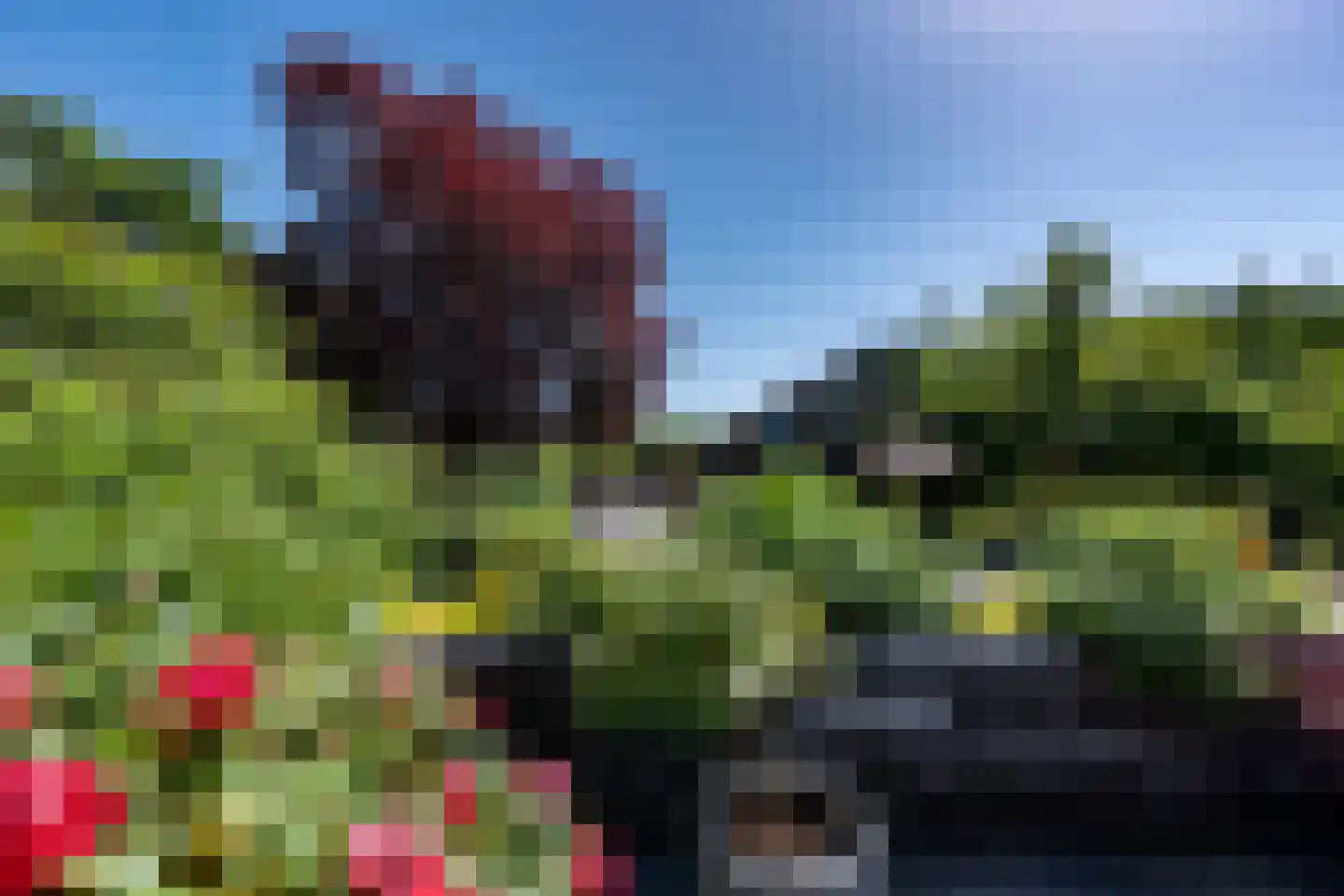 Wapenvelder Zand 13 Wapenveld thumbnail 38