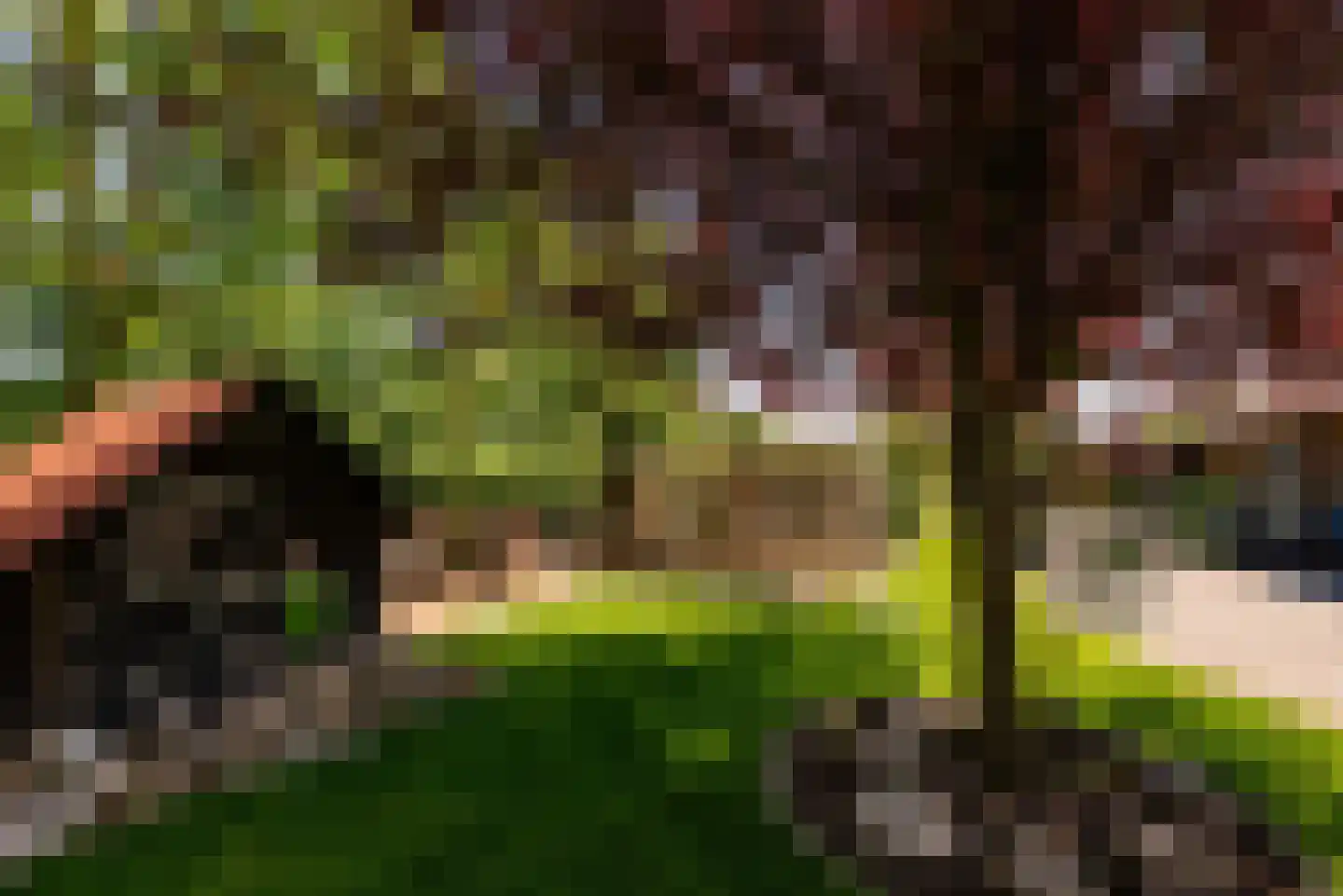 Wapenvelder Zand 13 Wapenveld thumbnail 39
