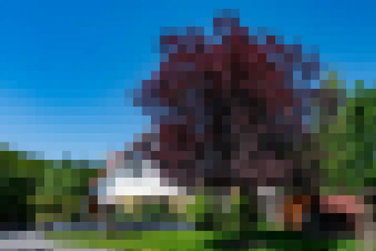 Wapenvelder Zand 13 Wapenveld thumbnail 40