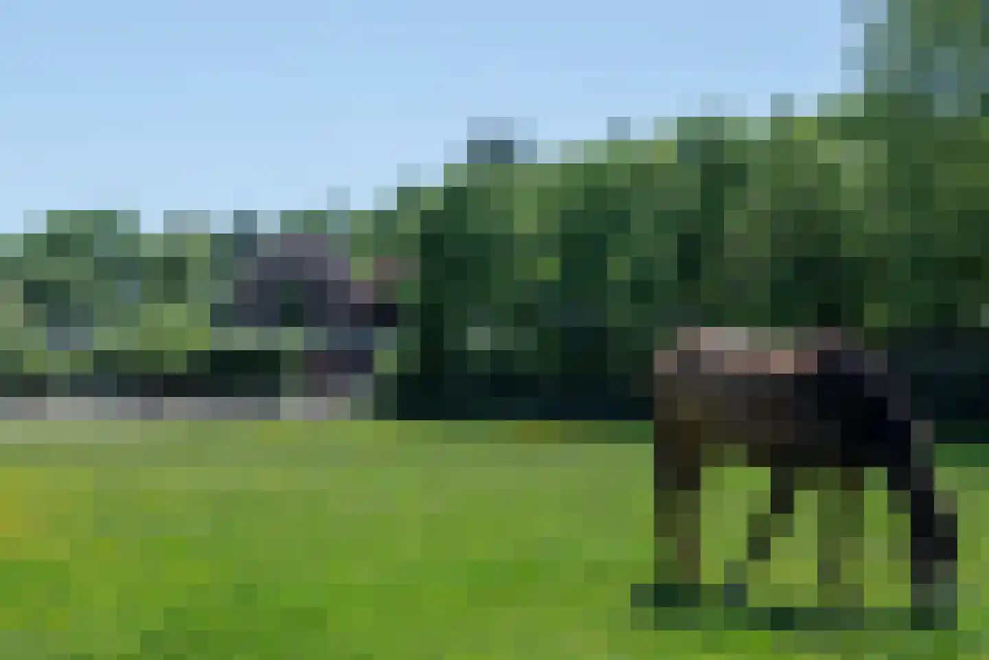 Wapenvelder Zand 13 Wapenveld thumbnail 44