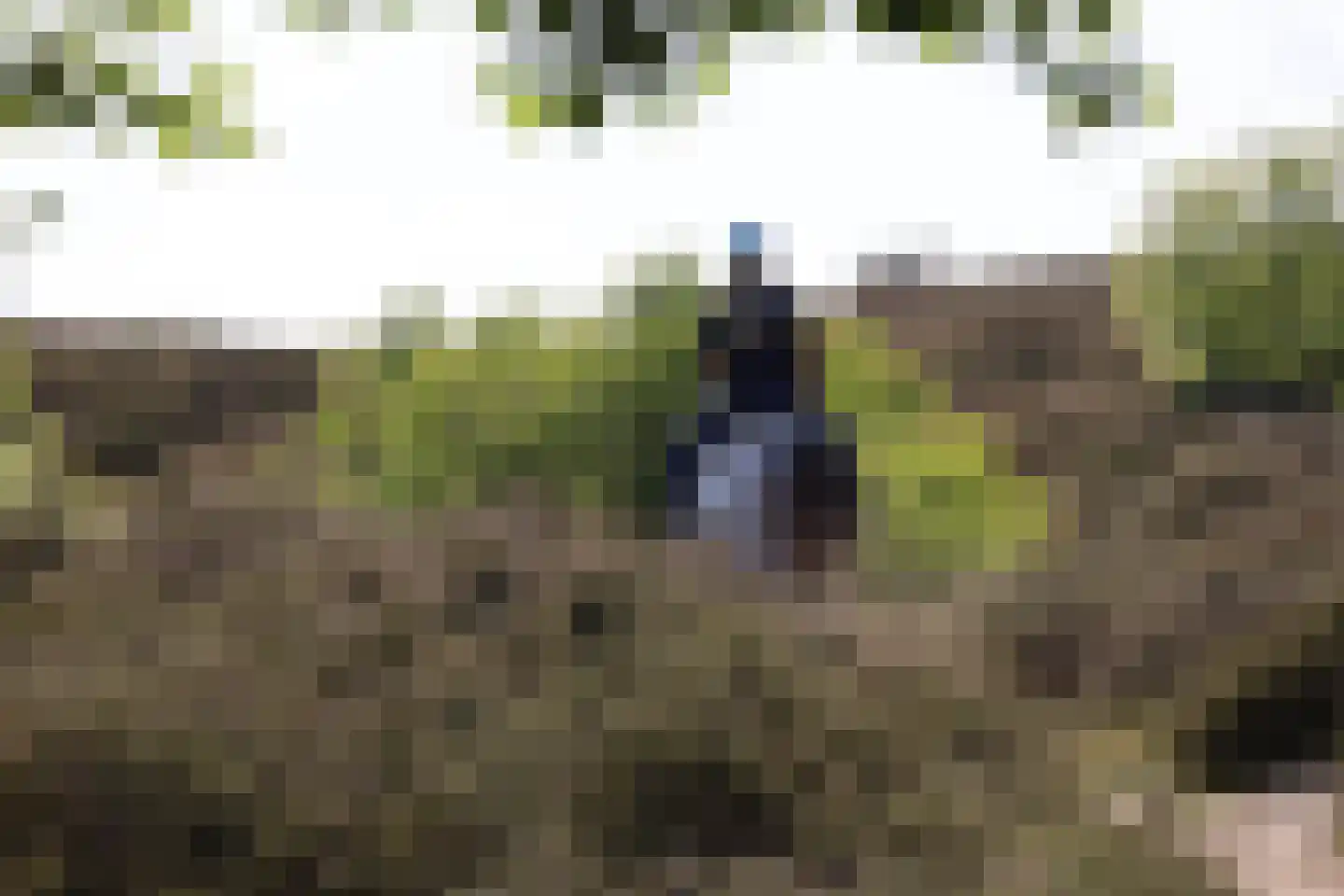 Wapenvelder Zand 13 Wapenveld thumbnail 45
