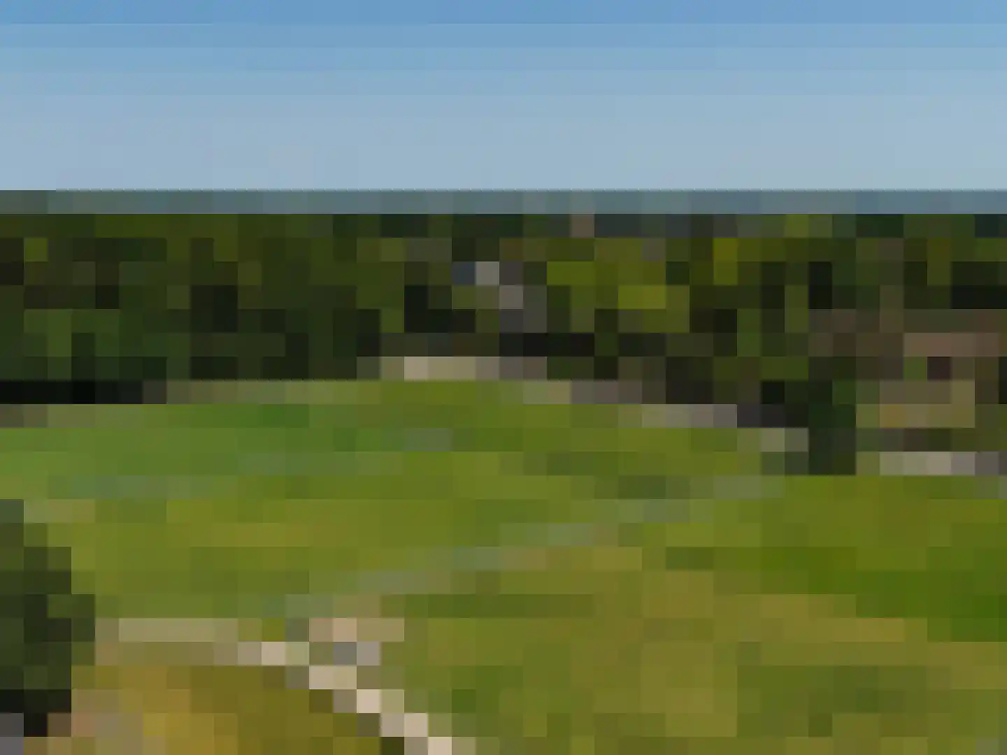 Wapenvelder Zand 13 Wapenveld thumbnail 46