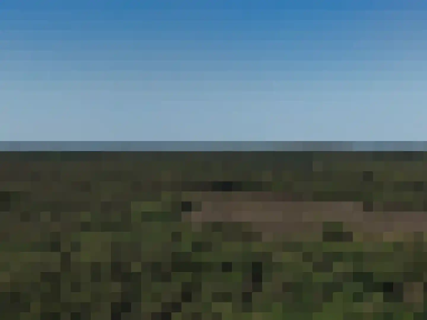Wapenvelder Zand 13 Wapenveld thumbnail 47