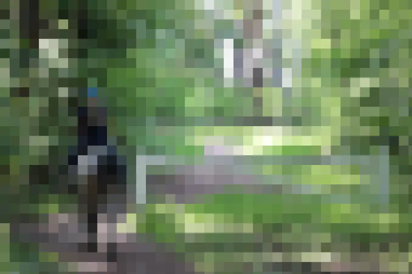 Wapenvelder Zand 13 Wapenveld thumbnail 6