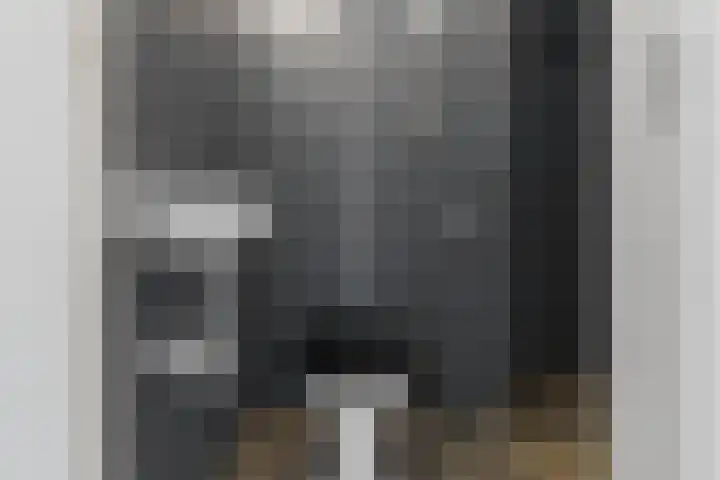 Wapenveldestraat 41 Den Haag thumbnail 35