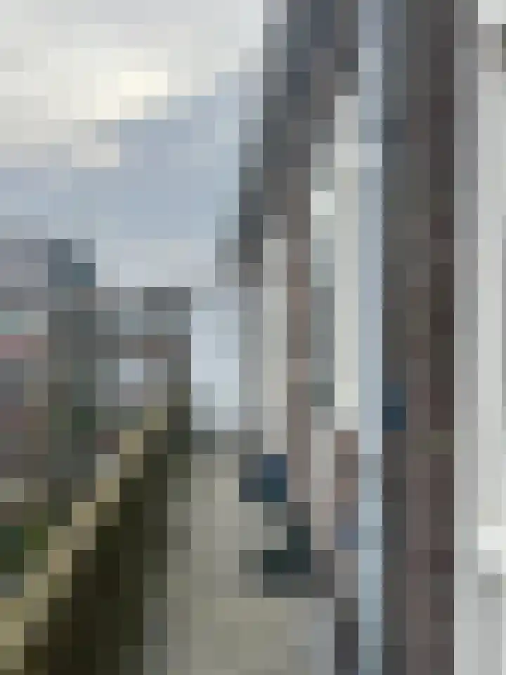 Wapenveldestraat 74 Den Haag thumbnail 15