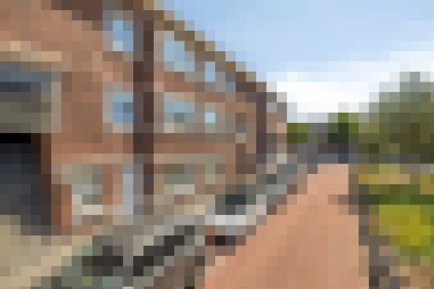 Wapenveldestraat 78 Den Haag thumbnail 39
