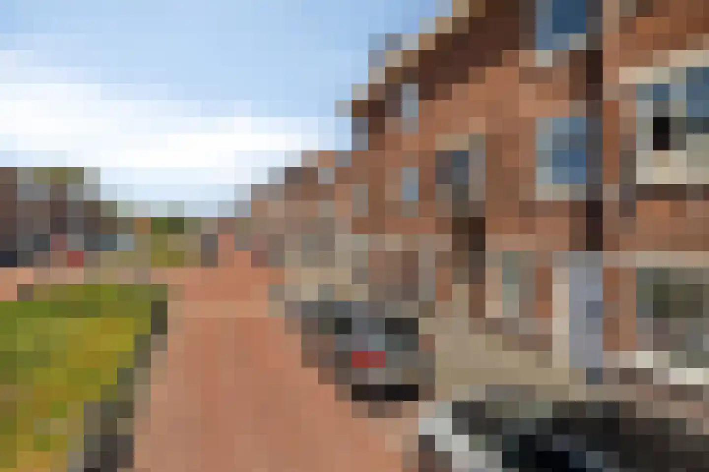 Wapenveldestraat 78 Den Haag thumbnail 40