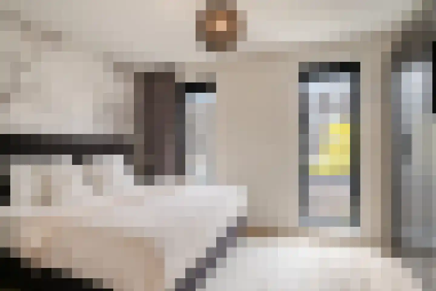 Wapenveldstraat 19 Tilburg thumbnail 24