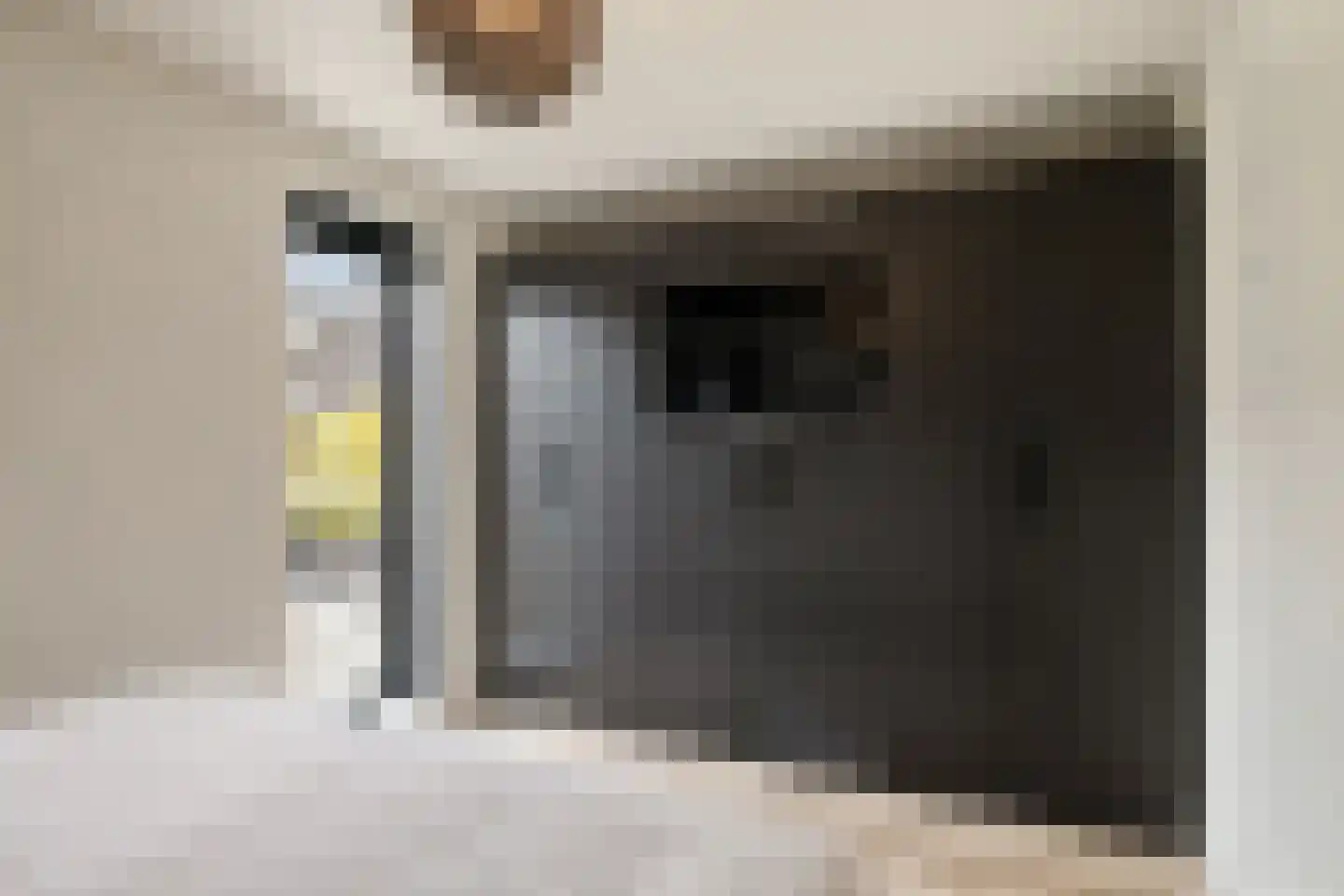 Wapenveldstraat 19 Tilburg thumbnail 26