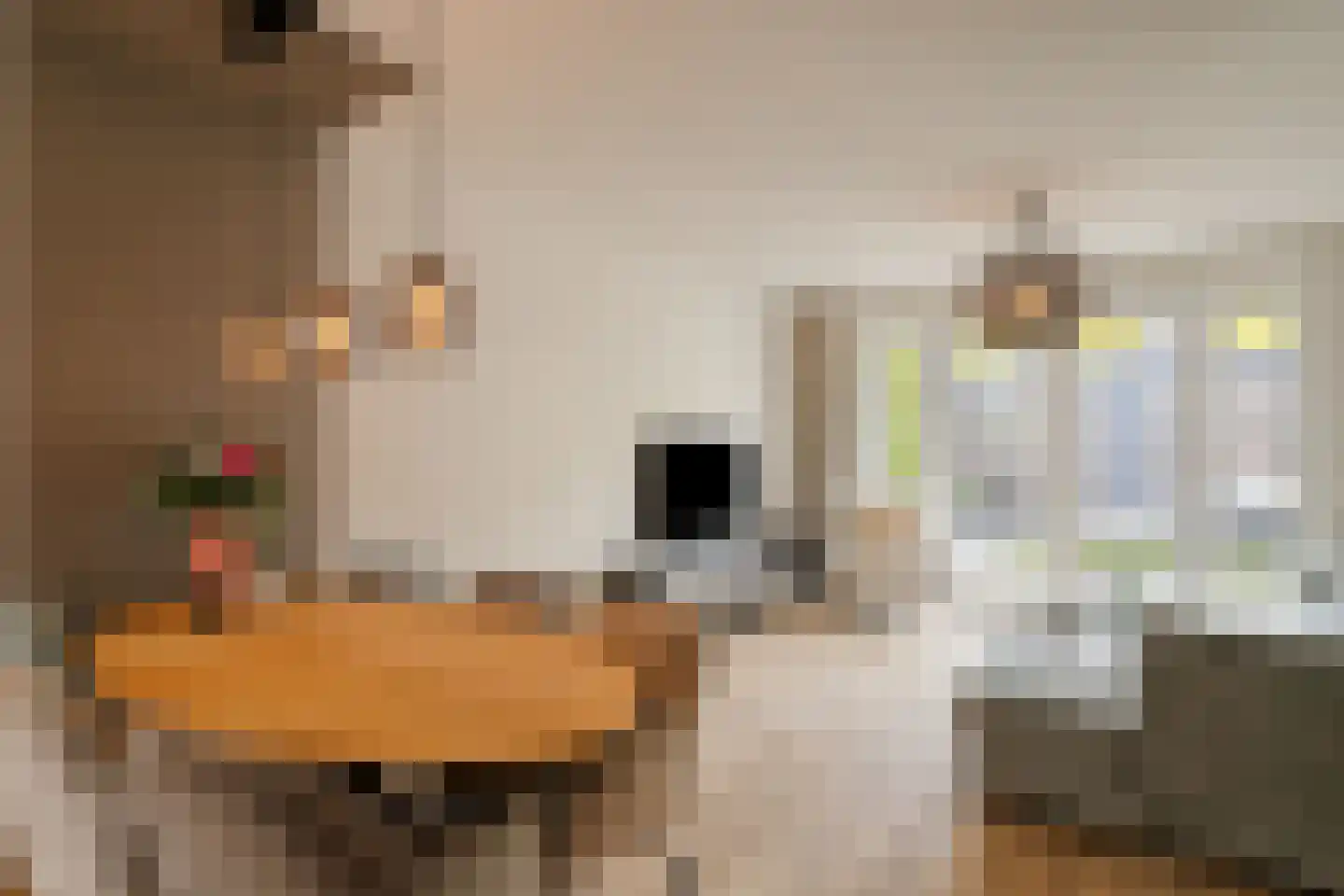 Wapenveldstraat 19 Tilburg thumbnail 9