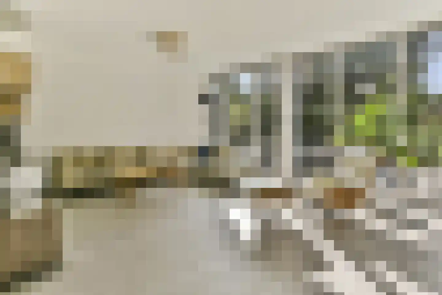 Wapserveen 1 Amersfoort thumbnail 19