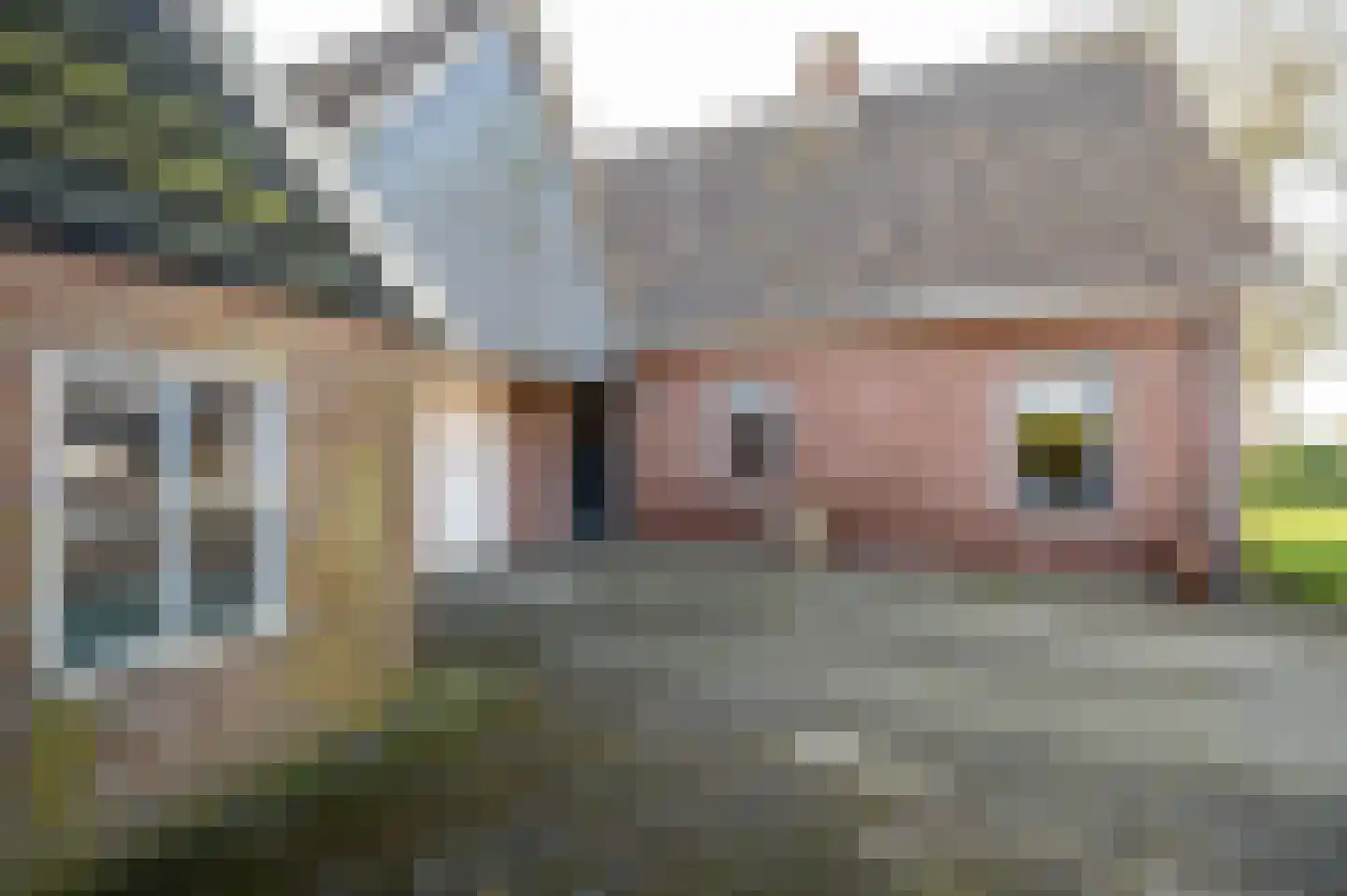 Wapserveenseweg 5 Wittelte thumbnail 29
