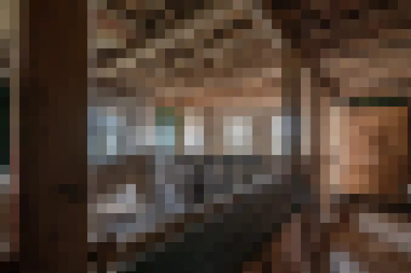 Wapserveenseweg 5 Wittelte thumbnail 35