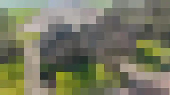 Wapserveenseweg 5 Wittelte thumbnail 36
