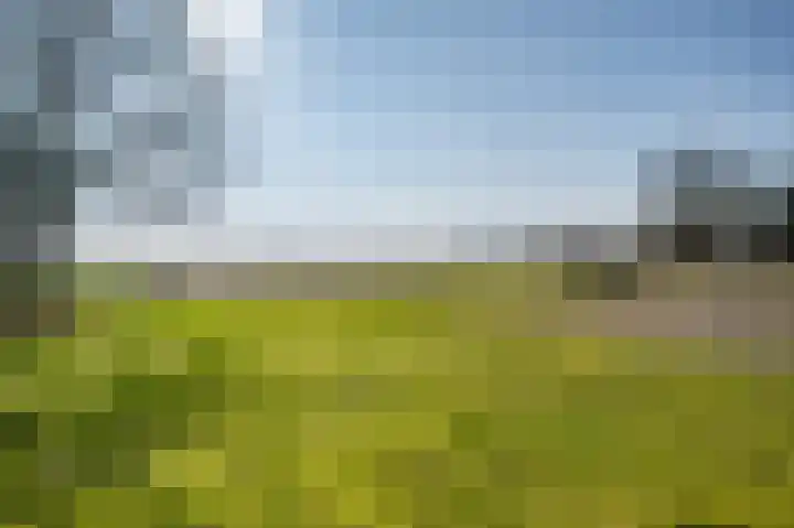 Wapserveenseweg 5 Wittelte thumbnail 43
