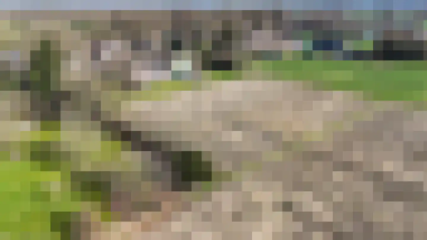 Wapserveenseweg 5 Wittelte thumbnail 44