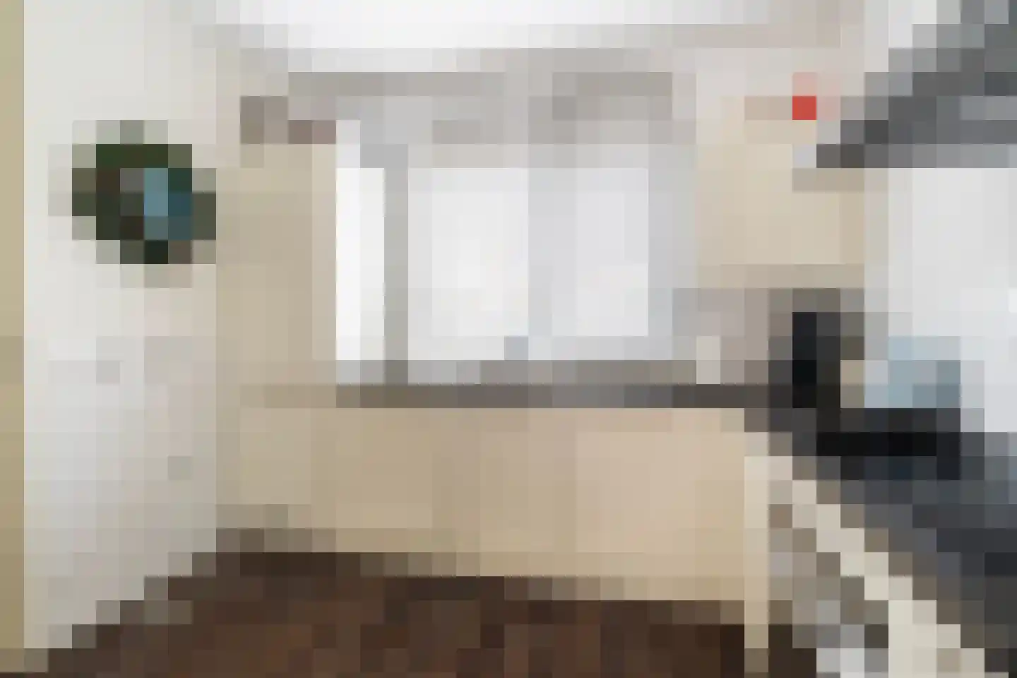 Wapserveenstraat 412 Den Haag thumbnail 9