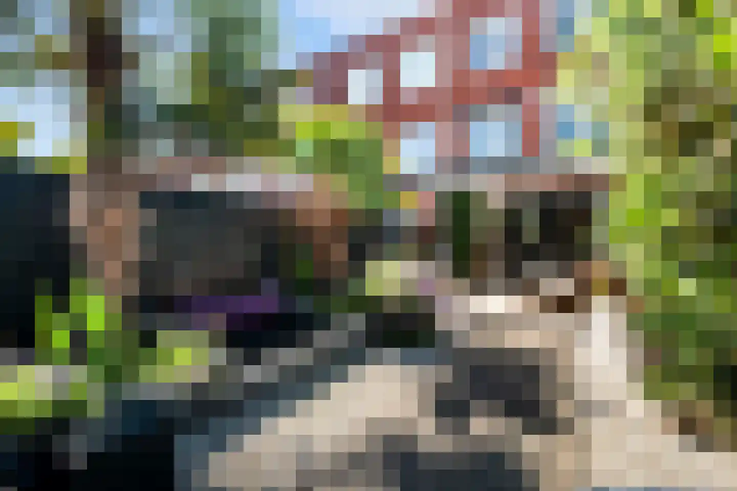 Wapserveenstraat 422 Den Haag thumbnail 20