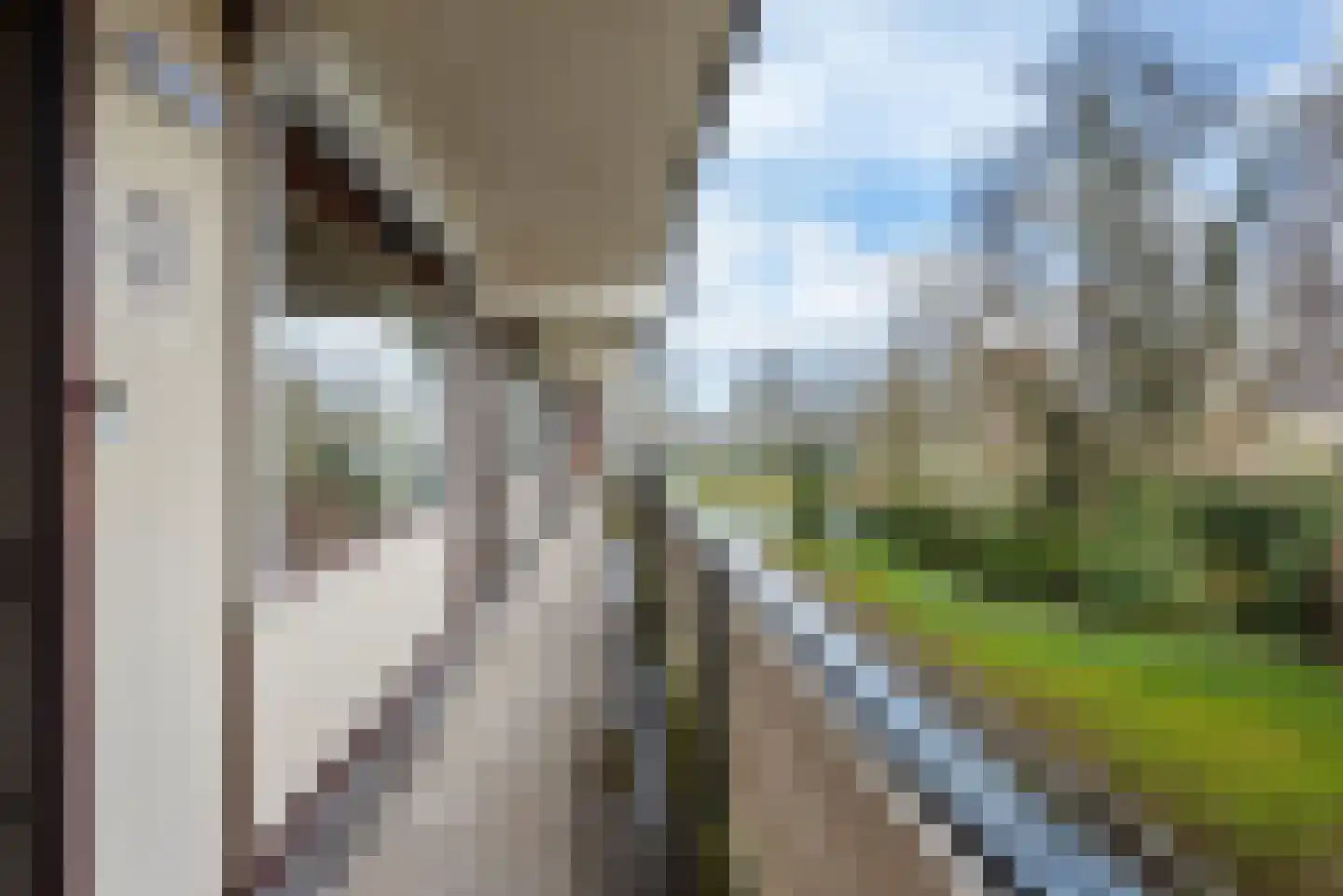 Warande 127 Nieuw-Vennep thumbnail 22