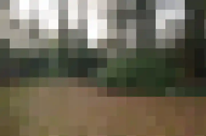 Warande 13 Deurne thumbnail 27
