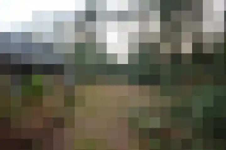 Warande 13 Deurne thumbnail 29