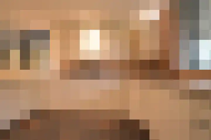 Warande 13 Deurne thumbnail 8