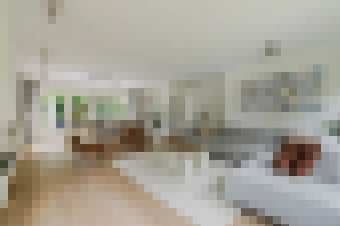 Warande 13 Rijsbergen thumbnail 11