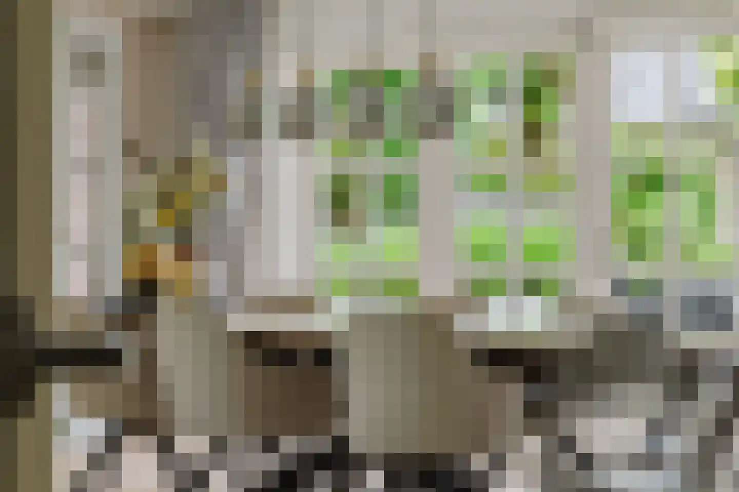 Warande 13 Rijsbergen thumbnail 18