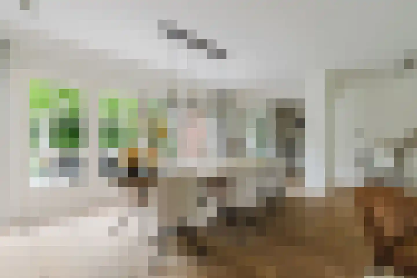 Warande 13 Rijsbergen thumbnail 19