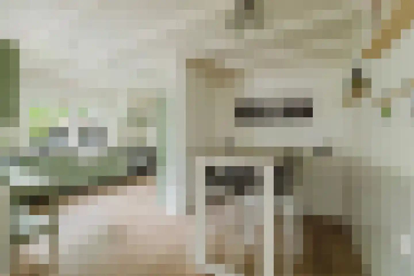Warande 13 Rijsbergen thumbnail 20
