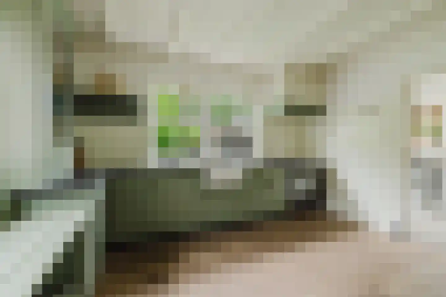 Warande 13 Rijsbergen thumbnail 23