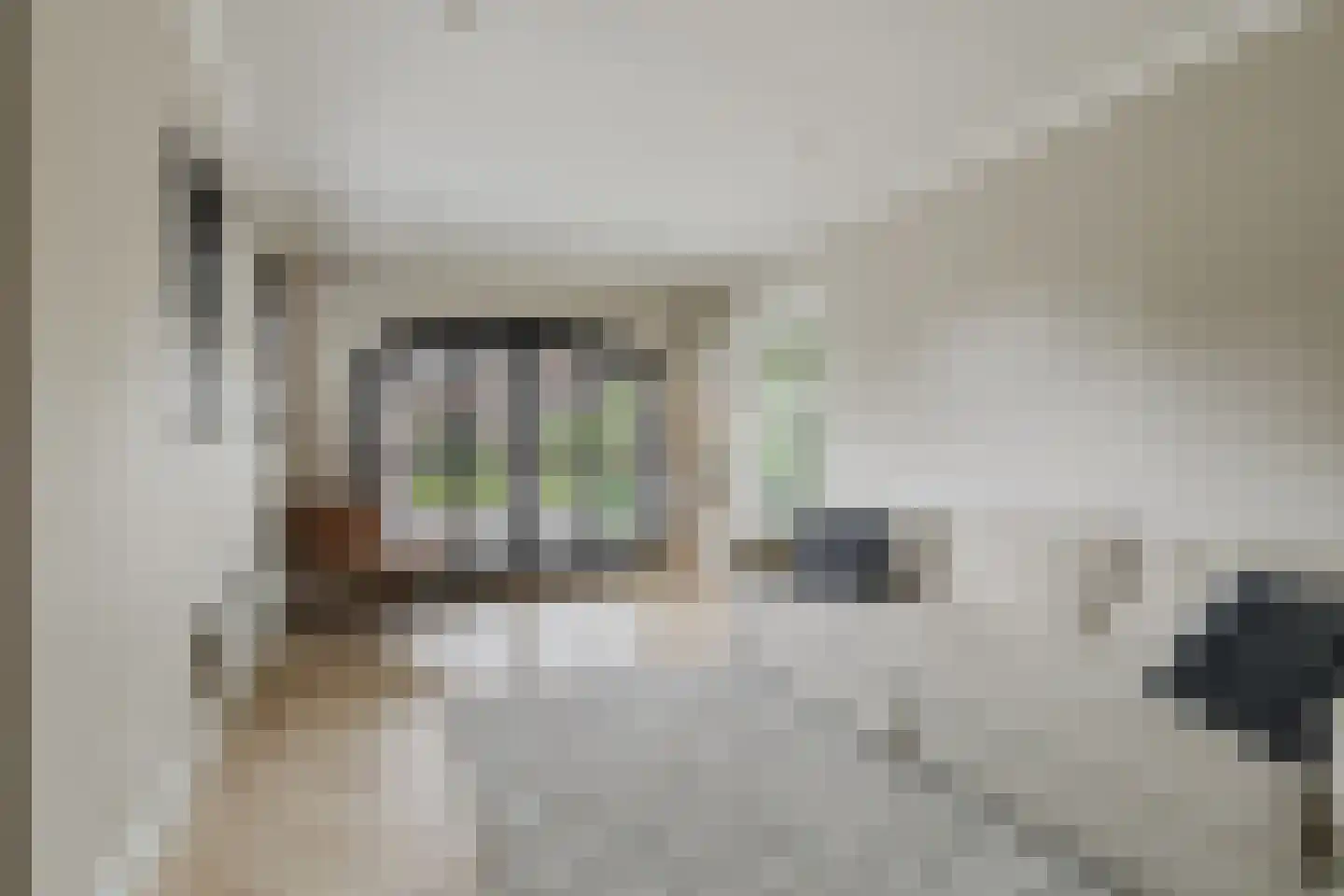Warande 13 Rijsbergen thumbnail 26