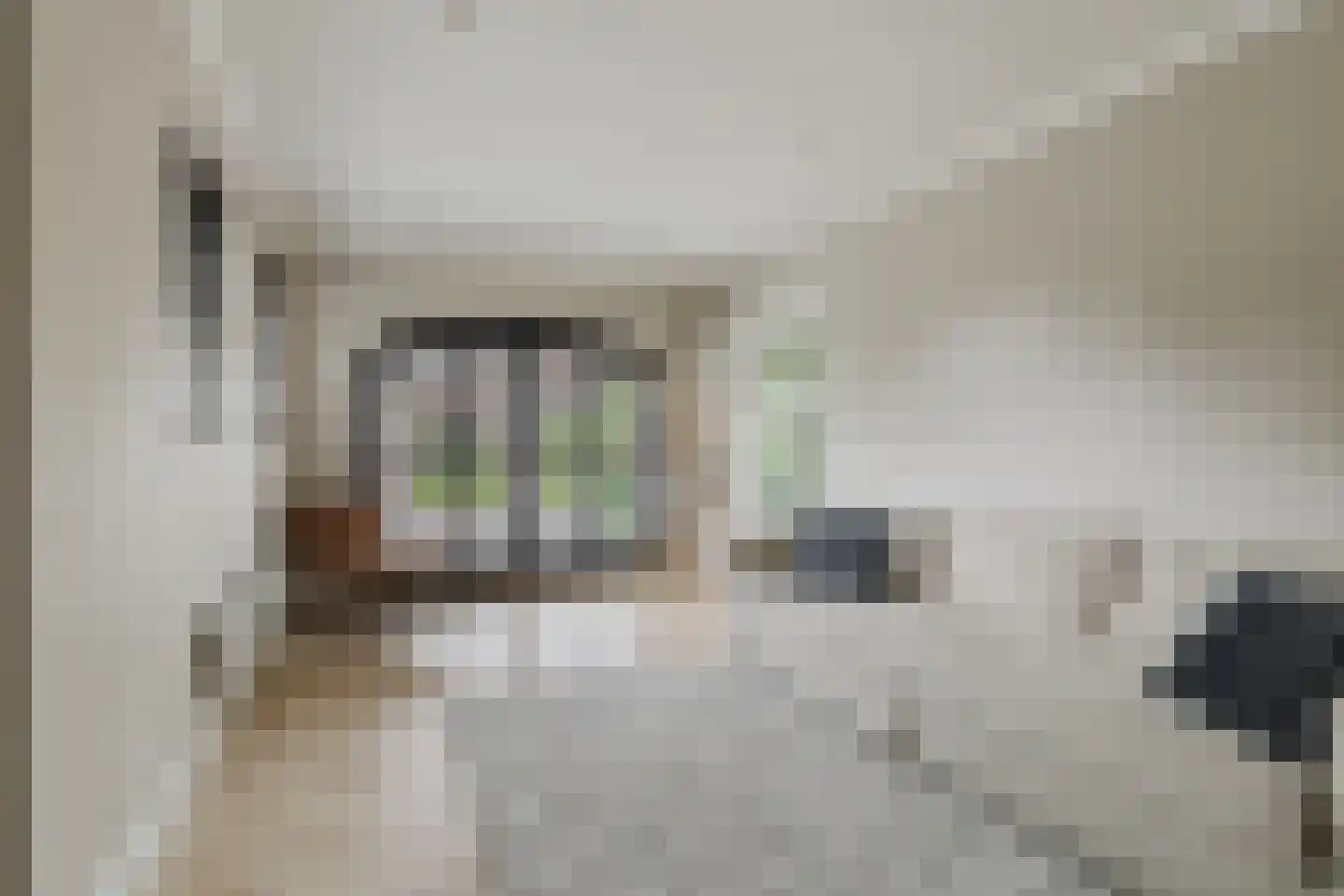 Warande 13 Rijsbergen thumbnail 4
