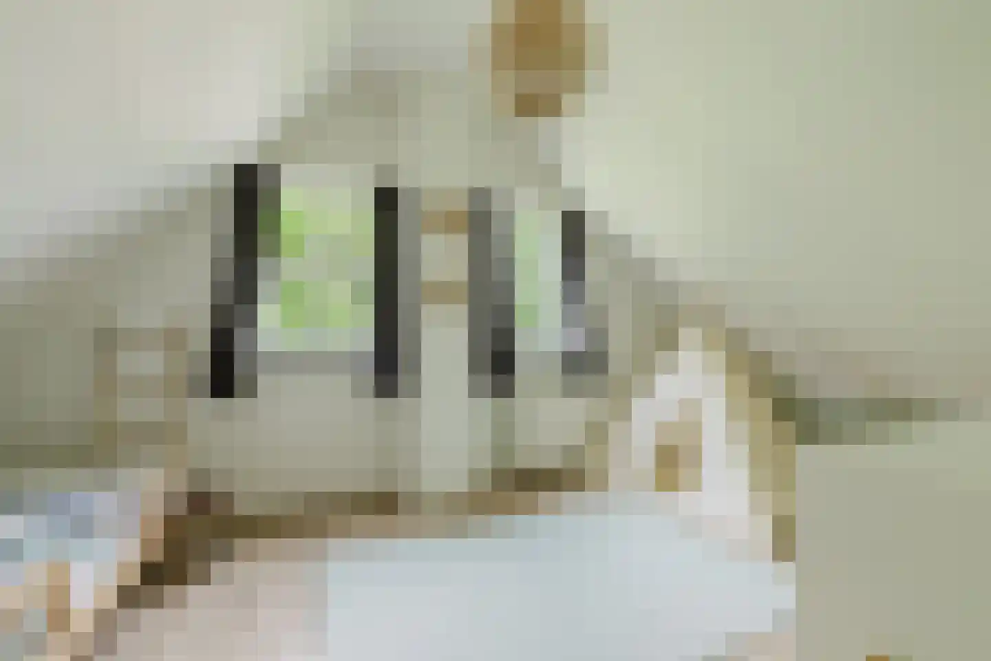 Warande 13 Rijsbergen thumbnail 40