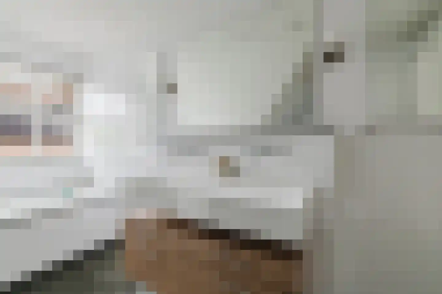 Warande 13 Rijsbergen thumbnail 45