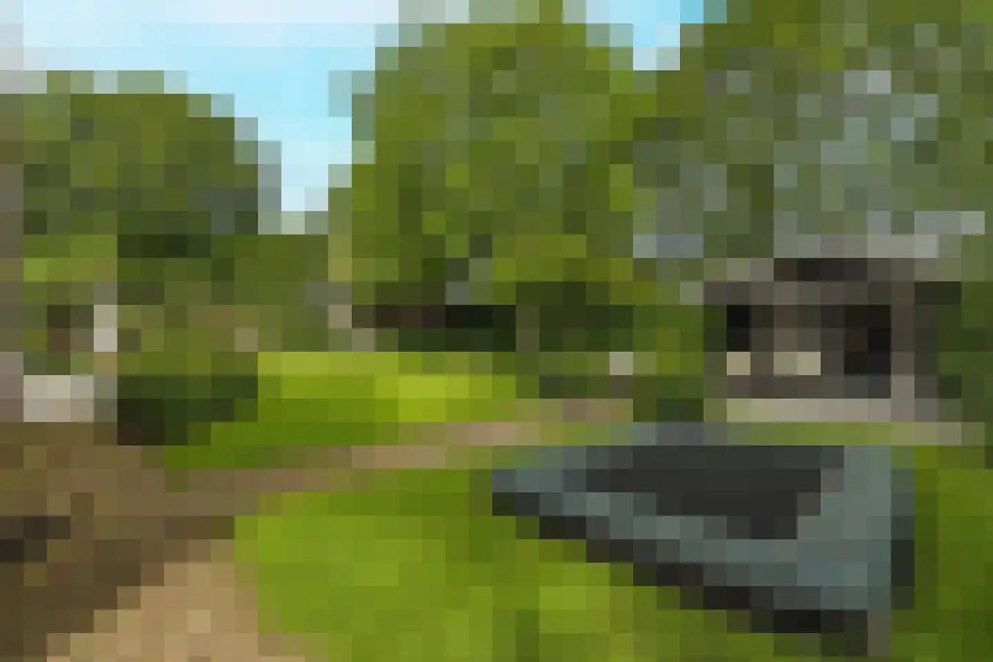 Warande 13 Rijsbergen thumbnail 52