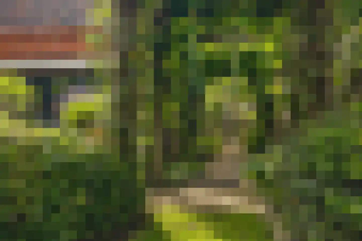 Warande 13 Rijsbergen thumbnail 56