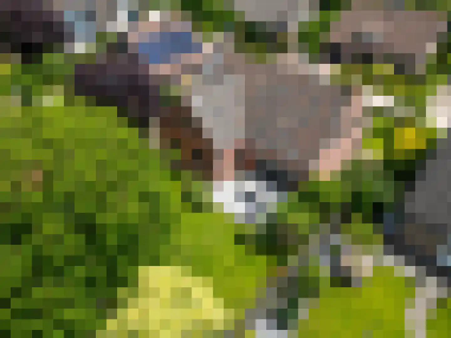 Warande 13 Rijsbergen thumbnail 57