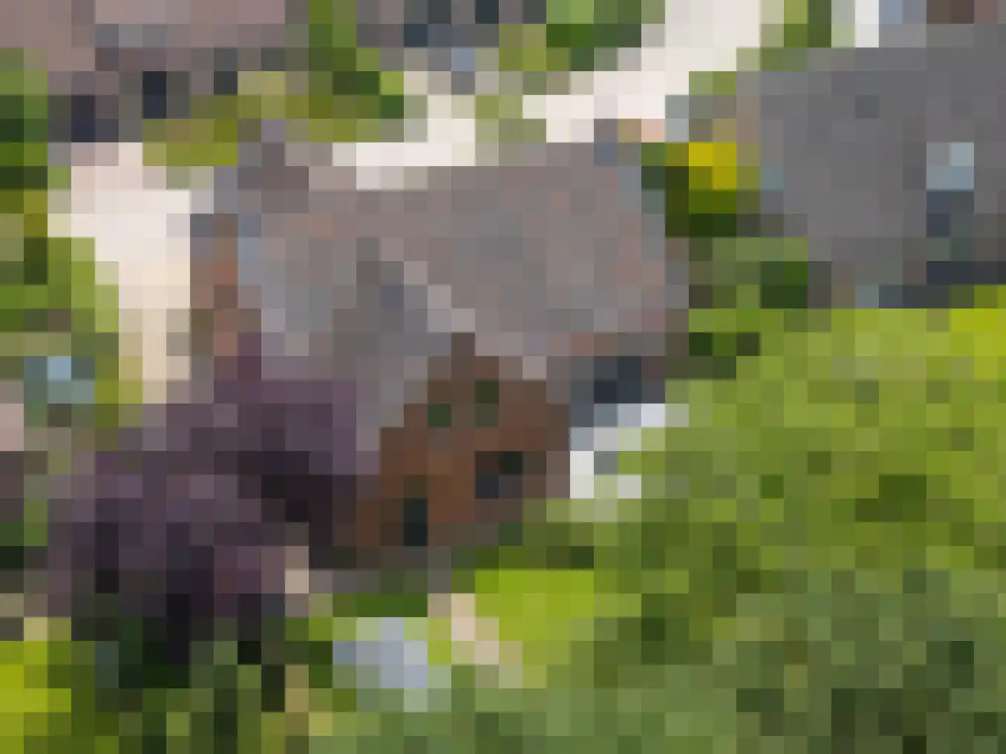 Warande 13 Rijsbergen thumbnail 58