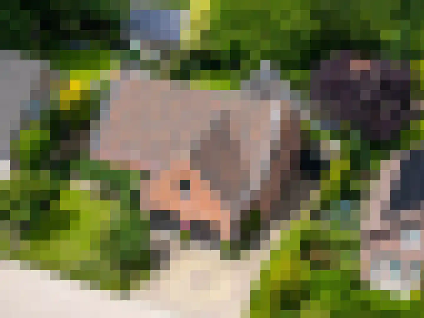 Warande 13 Rijsbergen thumbnail 59