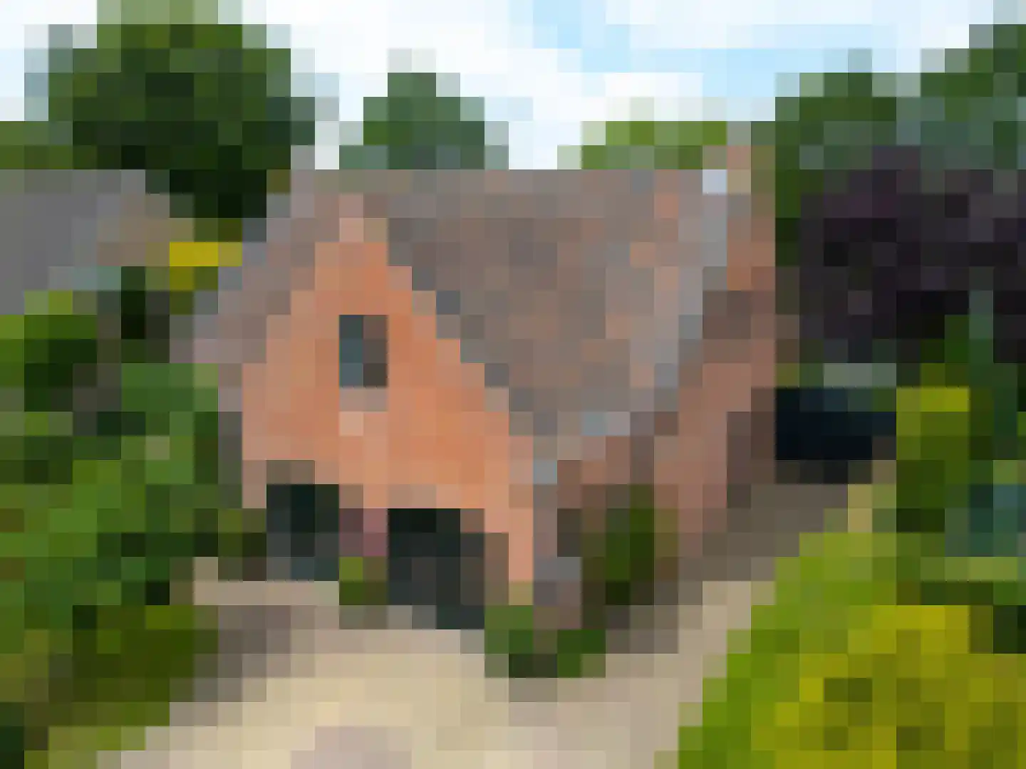 Warande 13 Rijsbergen thumbnail 6