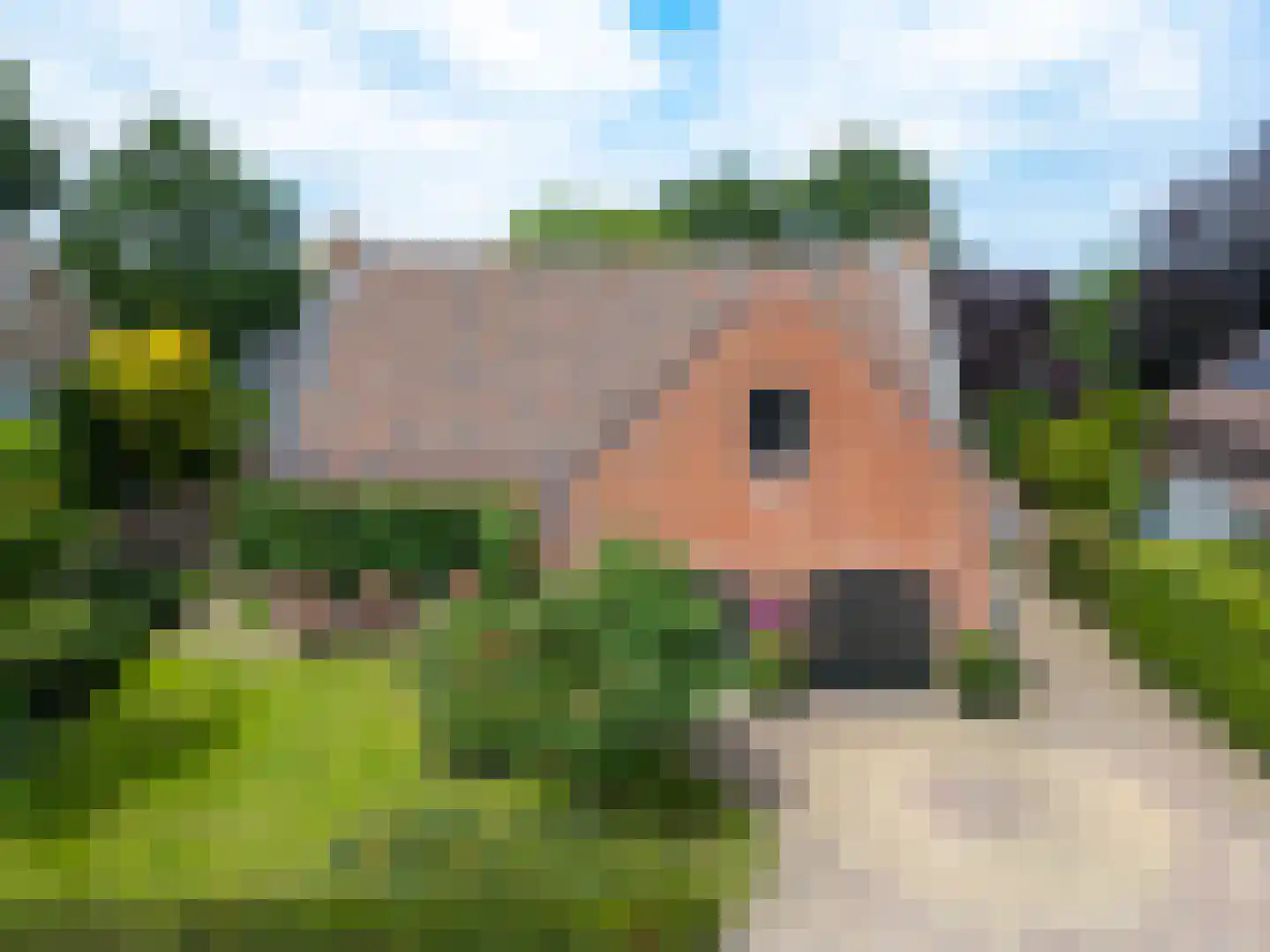 Warande 13 Rijsbergen thumbnail 60
